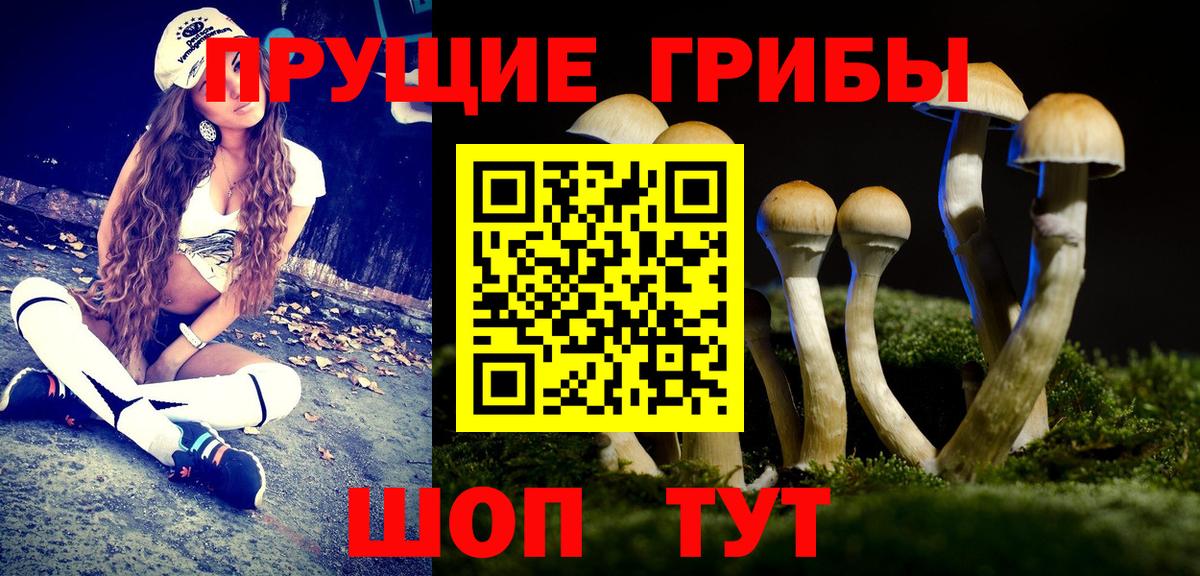 Первоуральск  Галлюциногенные грибы мицелий  где продают   Вход с VPN 