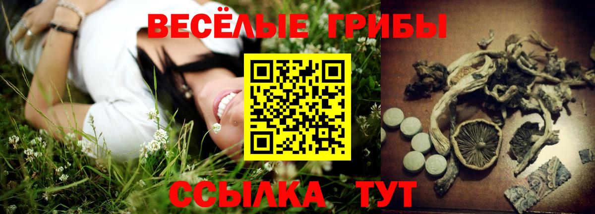 Псилоцибиновые грибы прущие грибы Первоуральск